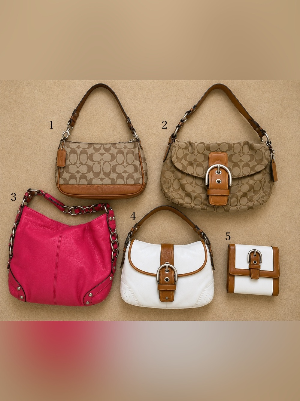 Coach bags Y2K